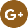 google +